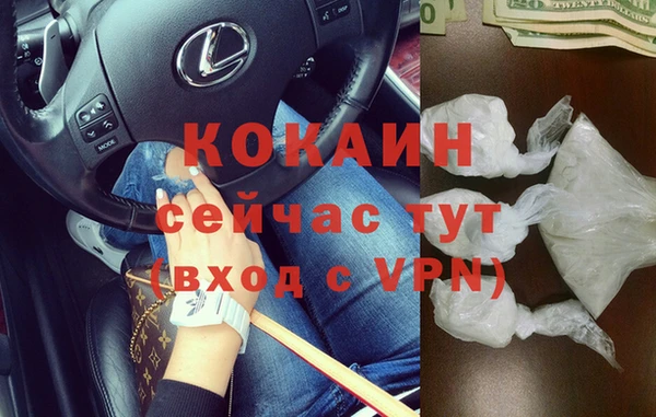 прущий лед Алзамай