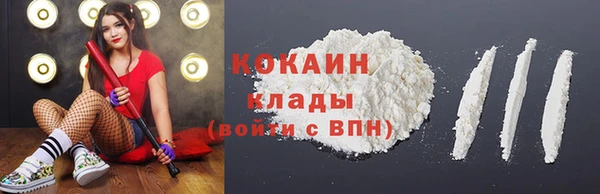 прущий лед Алзамай