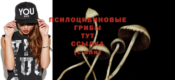 прущий лед Алзамай
