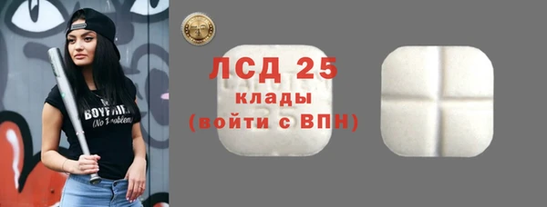прущий лед Алзамай