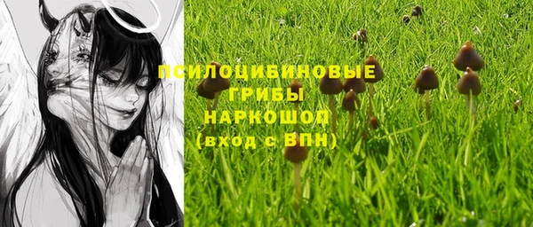 кокс Алексеевка