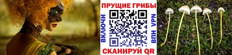 Галлюциногенные грибы прущие грибы  наркотики  Калач-на-Дону 